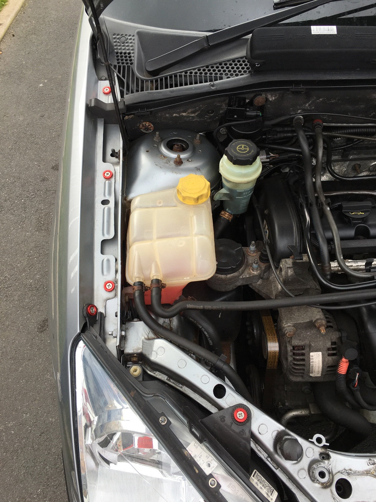 Ford Focus MK1 - Engine Bay Dress-Up Kit – Anodised Washers | CEUK